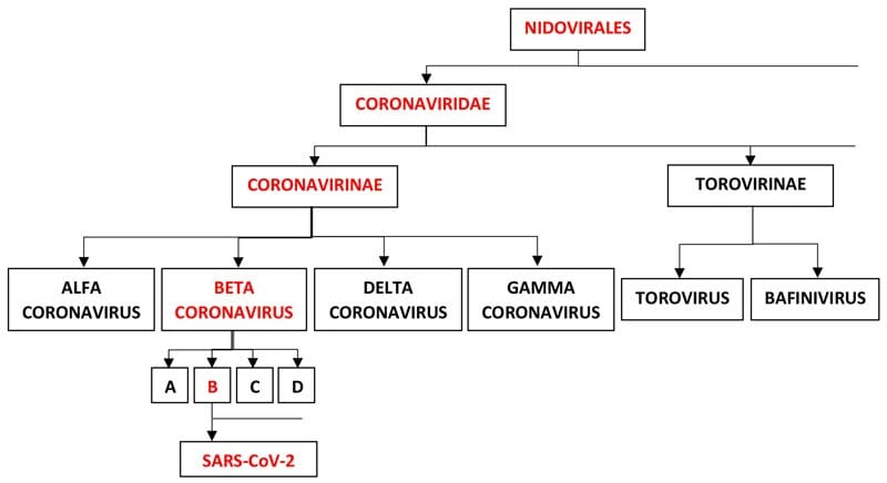 Tabella-classificazione-Coronavirus